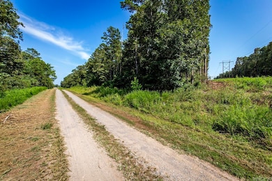 000 Mazanec Lane - Tract 12, Clinton, AR 72031 - photo 2
