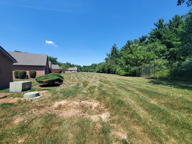 Exterior back 2