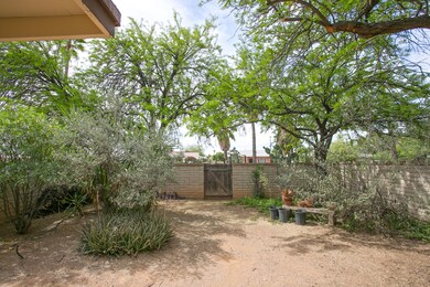 Front Court Yard