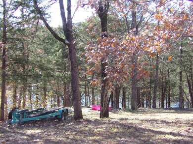 000 Montego Dr, Ruth B Rural Township, MO 65686 - photo 2