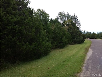 0 Rue Riviera Lots 10 & 11 unit MIS25063430, Bonne Terre, MO 63628 - photo 3