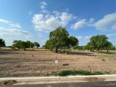 LOT117 Micaela St, Donna, TX 78537 - photo 5