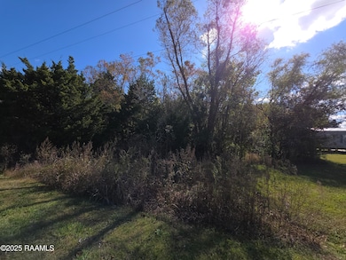 000 Par Road 3-75-10, Arnaudville, LA 70512 - photo 2