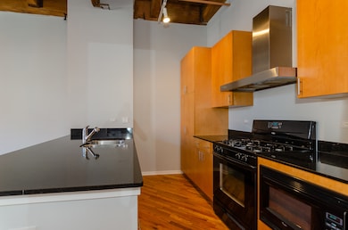 No. Ten Lofts unit 257, Chicago, IL 60607 - photo 4