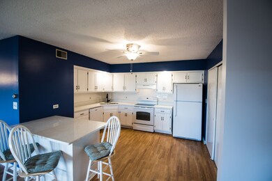 103 Caterpillar Dr unit 3D, Joliet, IL 60436 - photo 5