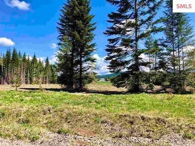 NNA Clydesdale Ct Lot 3, Sandpoint, ID 83864 - photo 7