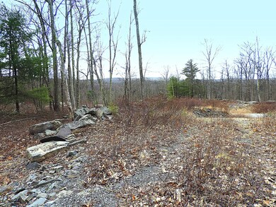 Lot #108 Blue Heron Way, Hawley, PA 18428 - photo 4
