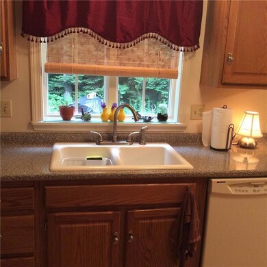 sink with backyard view