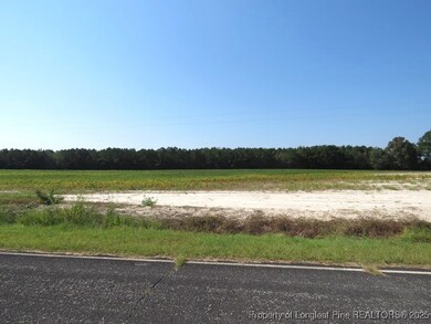 TBD Cowpen Swamp Rd, Fairmont, NC 28340 - photo 3