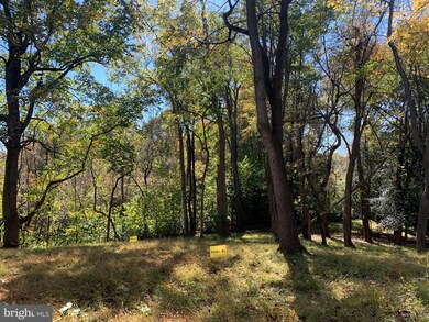 6679 Old Solomons Island Rd, Friendship, MD 20758 - photo 5