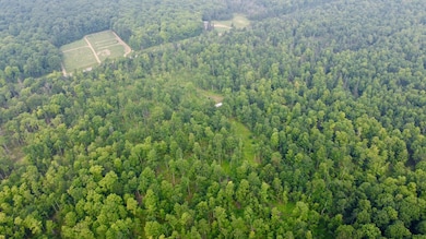 40 Acres Cth H, Gleason, WI 54435 - photo 2