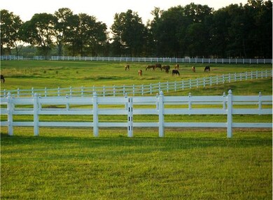 546 Minkslide Rd, Shelbyville, TN 37160 - photo 4