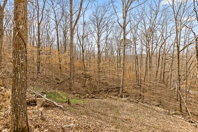 US41-11