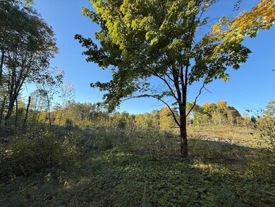 ON S Newman Lake Rd, Fifield, WI 54552 - photo 4