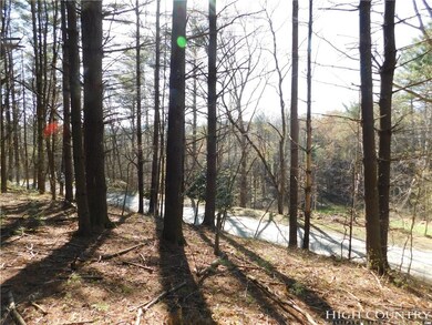 Tract L-12 Panorama Dr, Todd, NC 28684 - photo 5