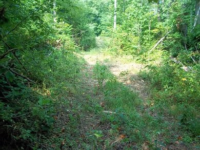 3269 Poplarville Rd, Somerset, KY 42501 - photo 2