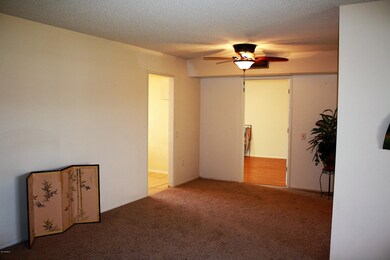 10741 W Santa fe Dr, Sun City, AZ 85351 - photo 6