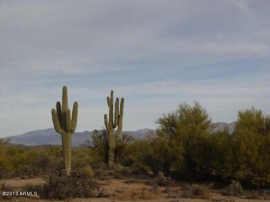 Large saguaros in area.