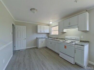 10432 Royal Dr, Saint Louis, MO 63136 - photo 4