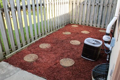 M.V. Patio 1