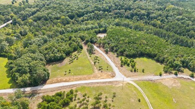 54 Creekview Ln, Altamont, TN 37301 - photo 3