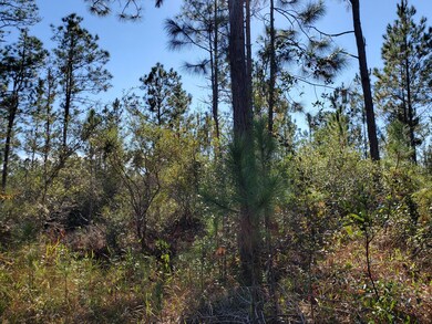 0 County Line Rd unit 19604811, Lee, FL 32059 - photo 4