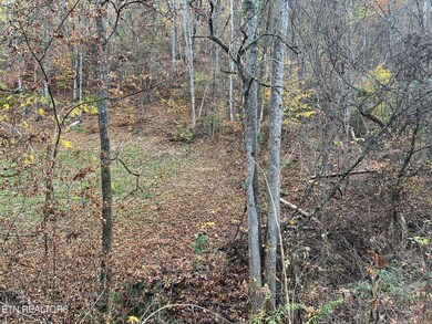 0 Pulaski Ln unit 1282050, Sevierville, TN 37862 - photo 7