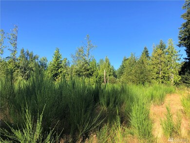 0 Bald Hills Rd SE unit 1640352, Yelm, WA 98989 - photo 4