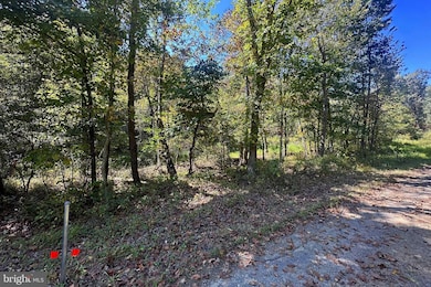 Lots 3 & 4 Shale Pit Dr, Falling Waters, WV 25419 - photo 6