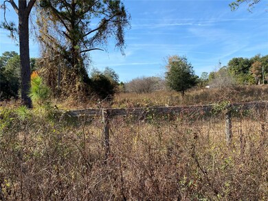 19690 NE 73rd Terrace, Citra, FL 32113 - photo 3