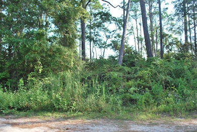 2976 Pristine Dr, Carrabelle, FL 32322 - photo 2