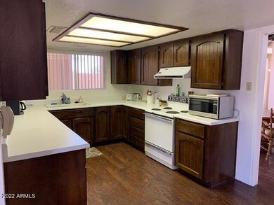 IMG_1204