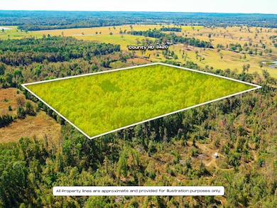 Drone / aerial view of a heavily wooded area