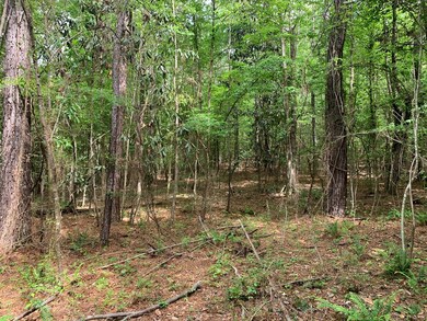 2190 Ernest A Thompson Rd, Ruth, MS 39662 - photo 4