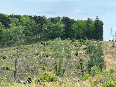 LOT 1 Leesville Rd, Lynch Station, VA 24571 - photo 3