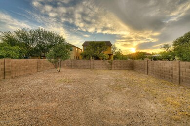 BIG Backyard