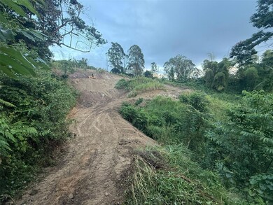 0 unit LOT 21, Juncos, PR 00777 - photo 3