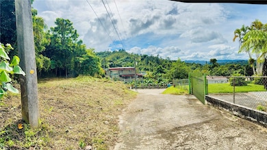 0 Calle Pineros, Cayey, PR 00736 - photo 7