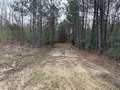 Tbd Hwy 112, Forest Hill, LA 71430 - photo 5
