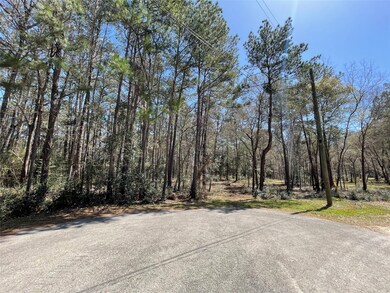 TBD2 Dan Cir, Magnolia, TX 77355 - photo 3