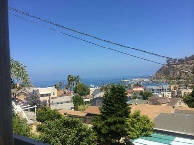 Spectacular ocean views from the property