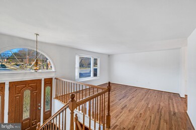 932 Ray Rd, Hyattsville, MD 20783 - photo 6