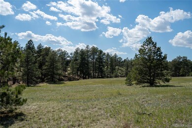 TBD-2 Paradise Cir unit 2, Elizabeth, CO 80107 - photo 4