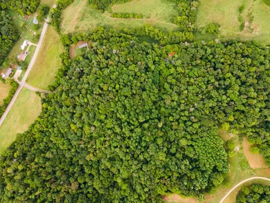 3045 Robert Skelley Rd, Columbia, TN 38401 - photo 7