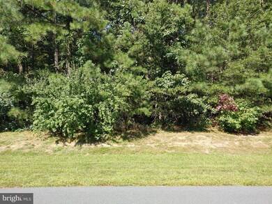 Lot 41 Red Fox Run, Milton, DE 19968 - photo 3