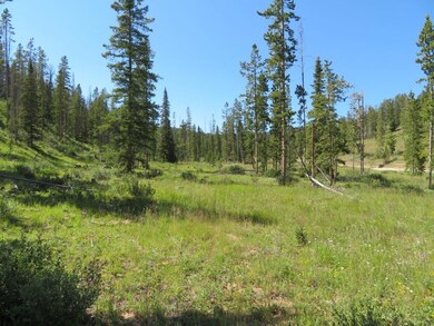Agentite Quartz Hill Rd, Wise River, MT 59762 - photo 2