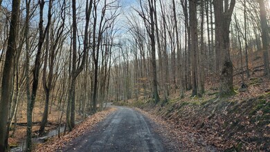 Simms Mountain Farm 007
