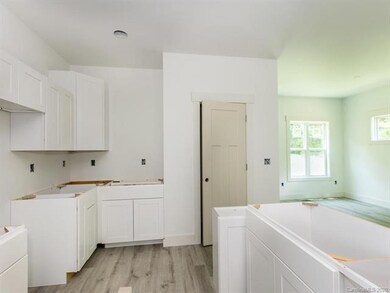 334 Old County Home Rd, Asheville, NC 28806 - photo 7