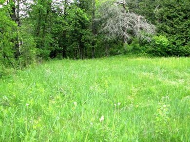 9 Nh Route 145, Colebrook, NH 03576 - photo 4