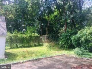 60 Holland Ave, Ardmore, PA 19003 - photo 4